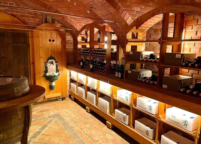 住宿加早餐酒店 Thermenland